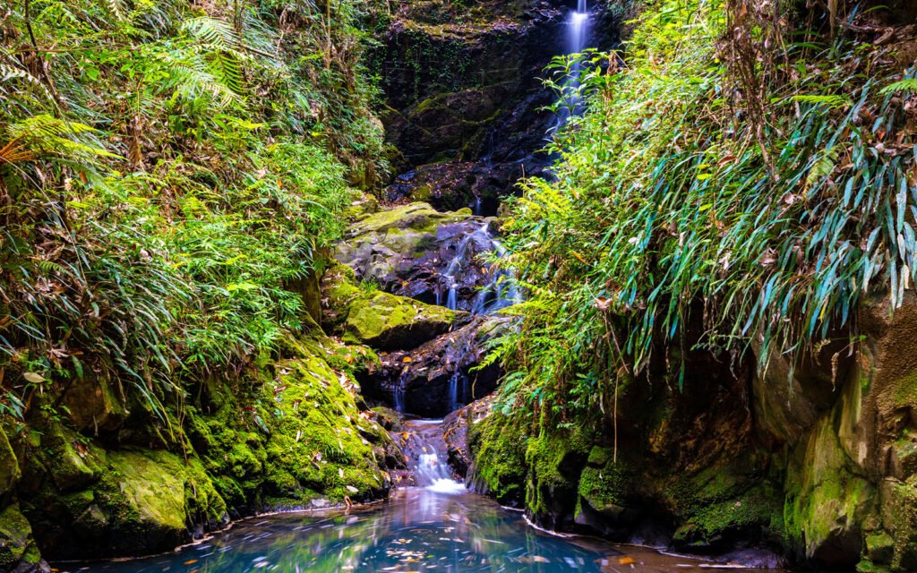 🏞️ 이오키 동굴(이오키도) 이미지 9